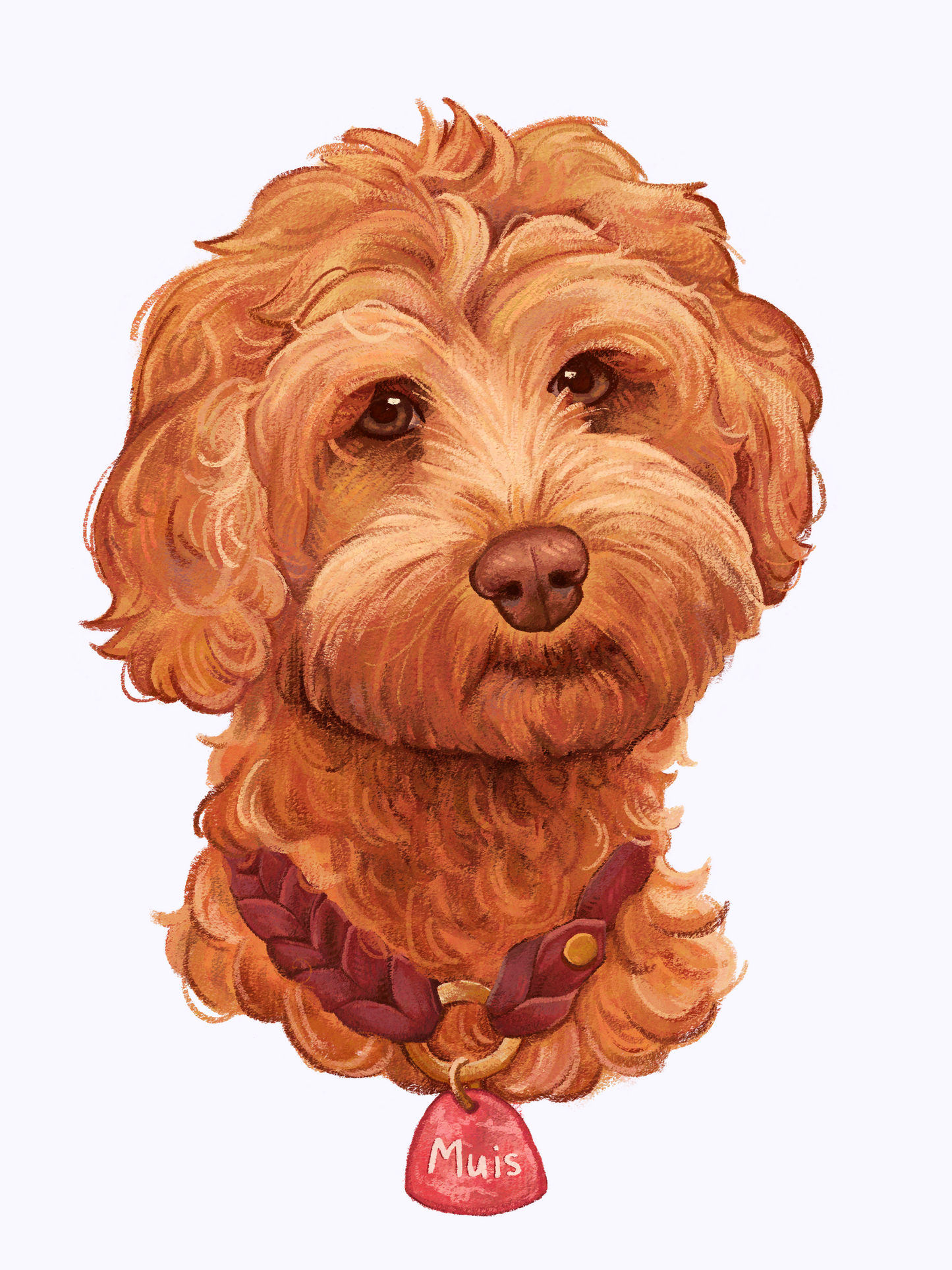 Pet portrait